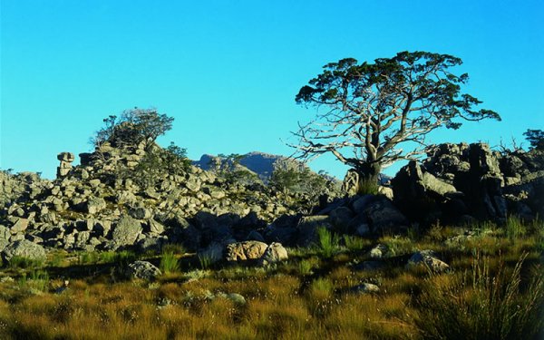 Bushmans Kloof Wilderness Reserve