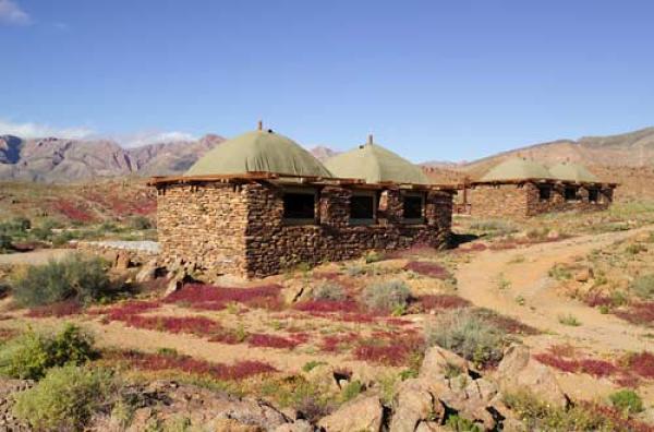 Wilderness Cabin