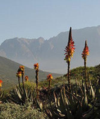 Karoo National Botanical Garden