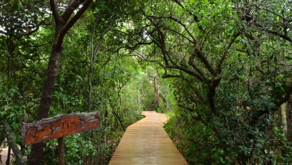 Machangulo Beach Lodge