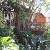 Tree Tops & Treats Guest House