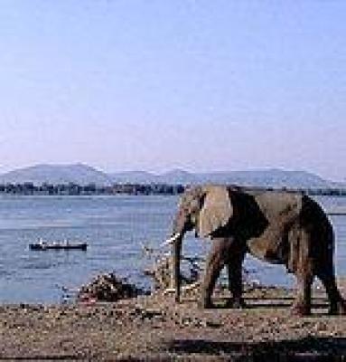 Mana Pools National Park