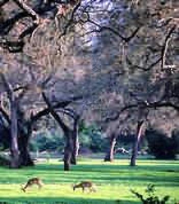 Mana Pools National Park