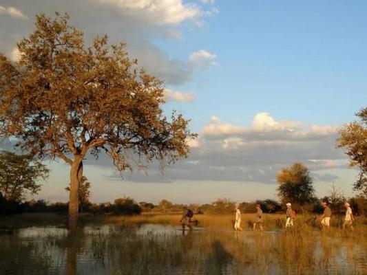 Travel Guide to Botswana