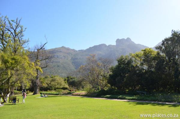 Kirstenbosch National Botanical Garden