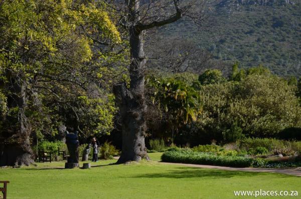 Kirstenbosch National Botanical Garden