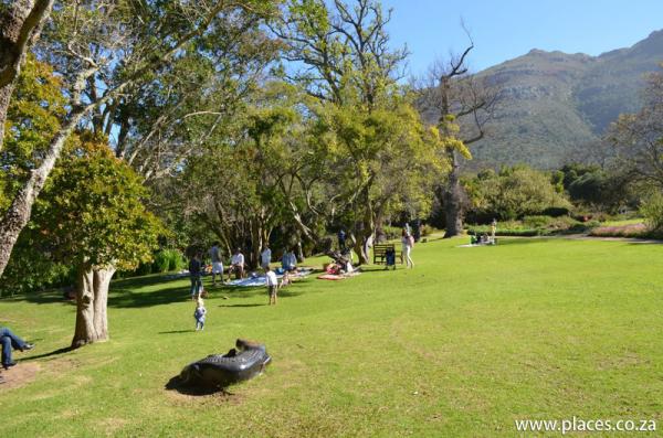 Kirstenbosch National Botanical Garden