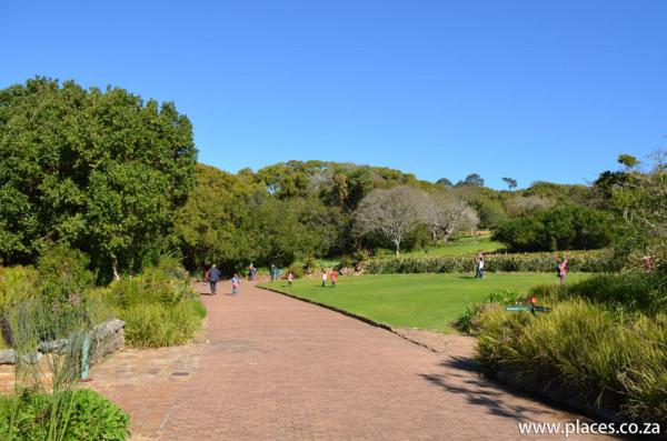 Kirstenbosch National Botanical Garden