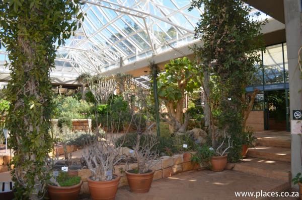 Kirstenbosch National Botanical Garden