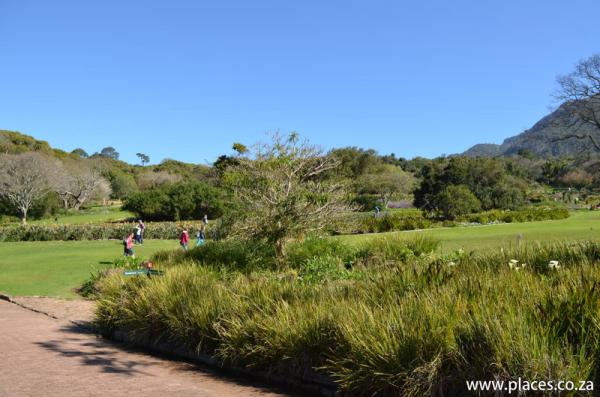 Kirstenbosch National Botanical Garden