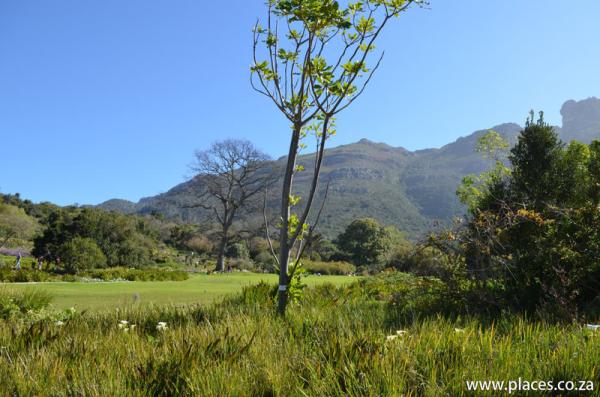 Kirstenbosch National Botanical Garden