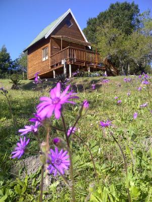 Spring view of cabins