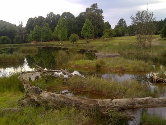 View from dam over property