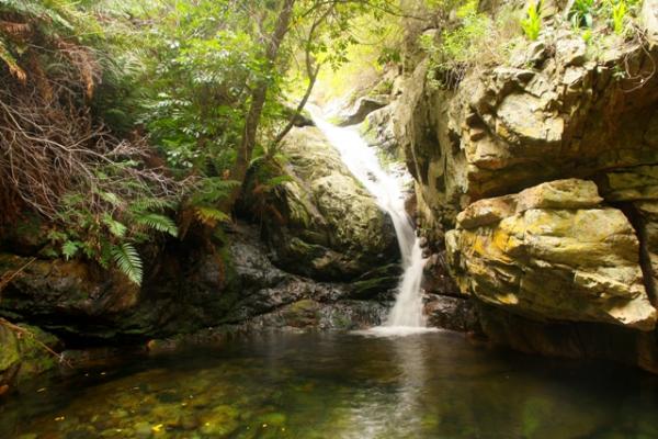 Rooikrans Rock Pools