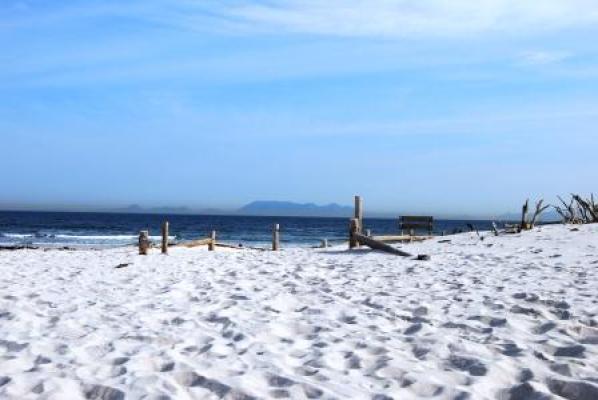 Pringle Bay Beach