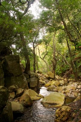 Hiking Trail