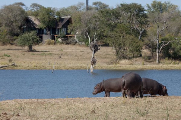 Chitwa Chitwa Private Game Lodges