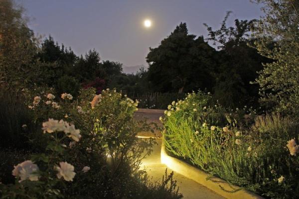 Mediterranean garden at night