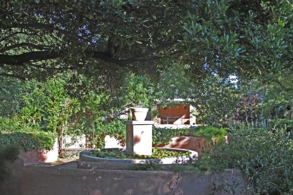 Lily pond with pool house in background