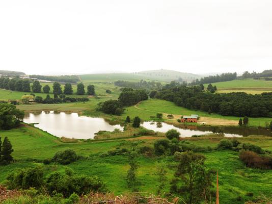 View of the Brickfield 