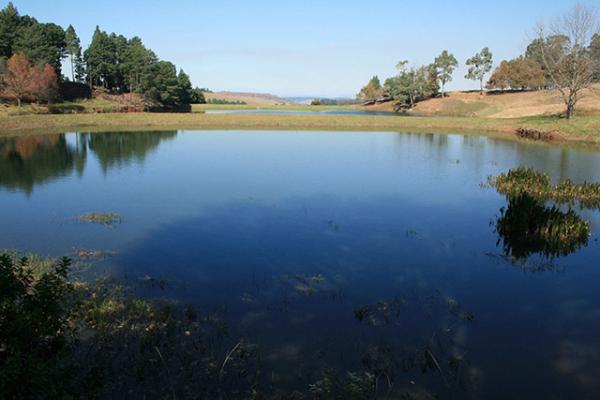 Trout dam