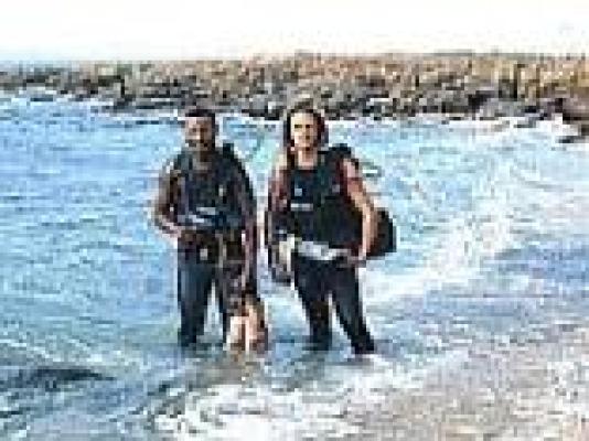 Plettenberg Bay Diving