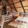 Ndwangu family lodge Ndwangu family lodge