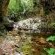 Streams & Pools on hiking trails at Pat Busch