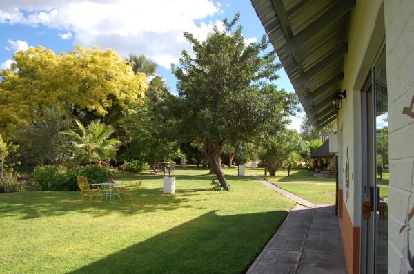 Garden view from rooms