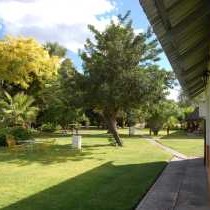 Garden view from rooms