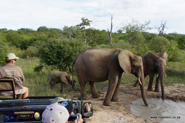 Masodini Game Lodge