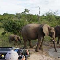 Masodini Game Lodge