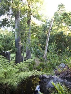 Andelomi Forest Lodge