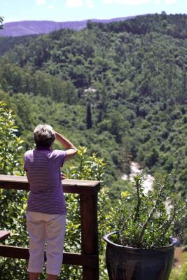 Taking in the Valley