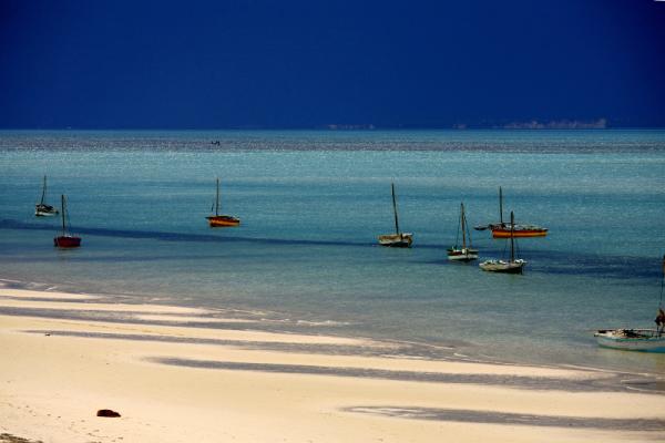 Dhows on the beach