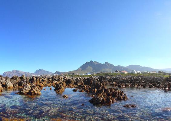 The Tidal Rock Pools