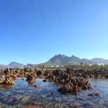 The Tidal Rock Pools