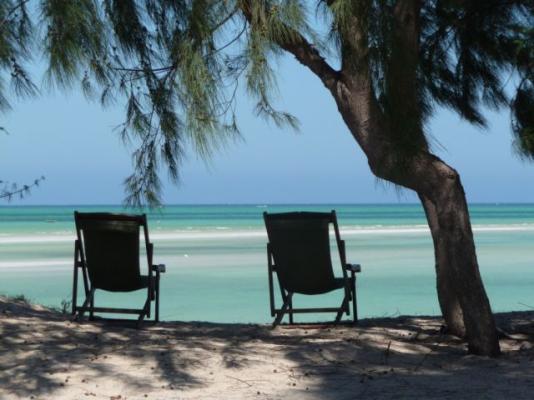 Beach Chairs