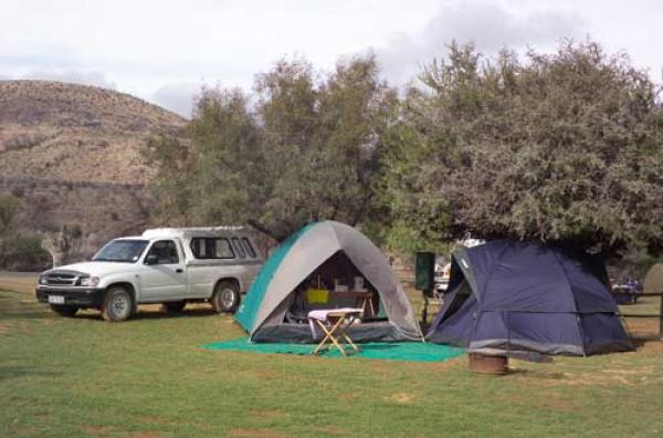 Mountain Zebra National Park