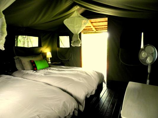 twin safari tent