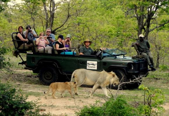 on safari with shindzela