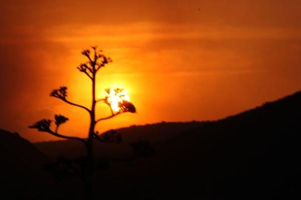 Sunset on the Farm