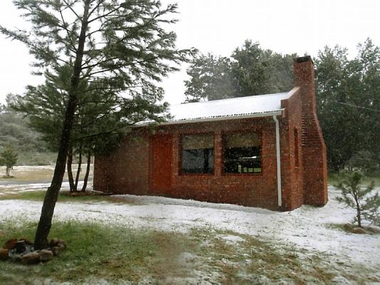Pine Tree cabin
