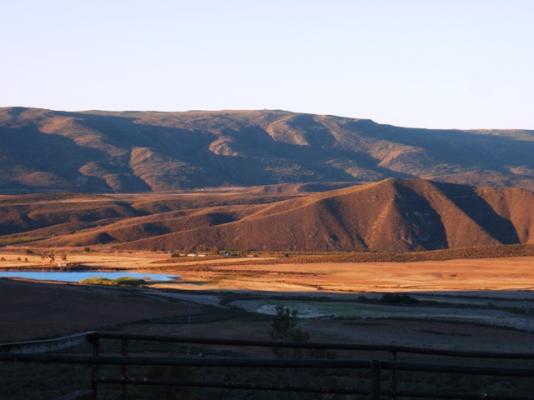 Sunset on farm