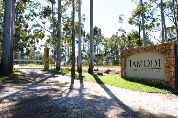 TAMODI LODGE AND STABLES