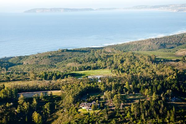 TAMODI LODGE AND STABLES