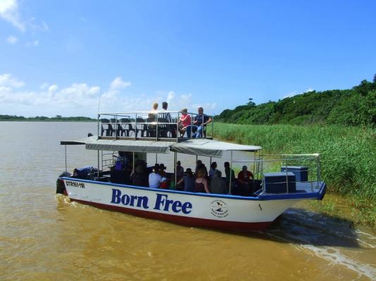 Estuary Boat Cruise