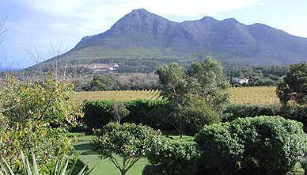 Chapman's Peak