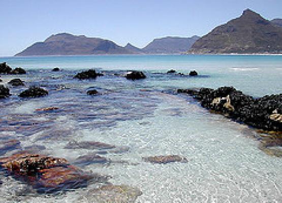 Nearby Beach