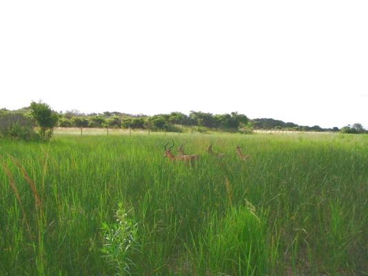 Walks at Emdoneni Lodge